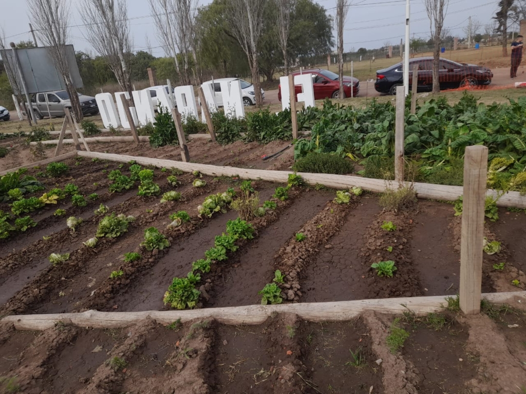 LOTES DE 300M2 EN IBARLUCEA - BARRIO ABIERTO EL NARANJO 2 lote en Ibarlucea