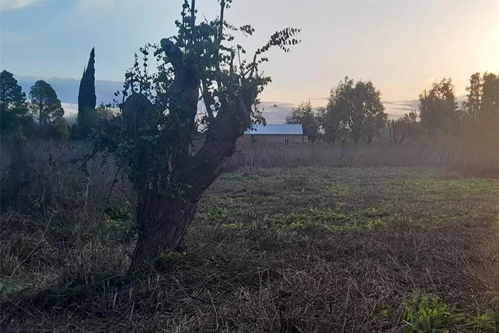 lote 482m2 perez