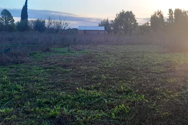 lote 482m2 perez