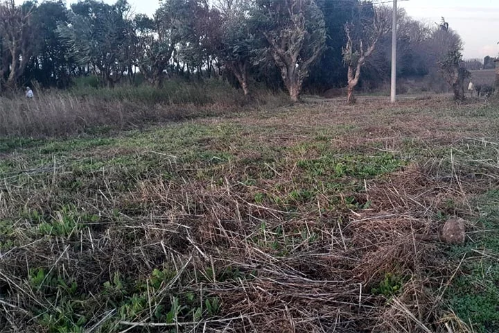 lote 482m2 perez