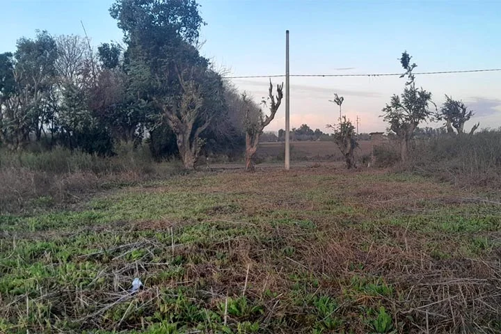 lote 482m2 perez