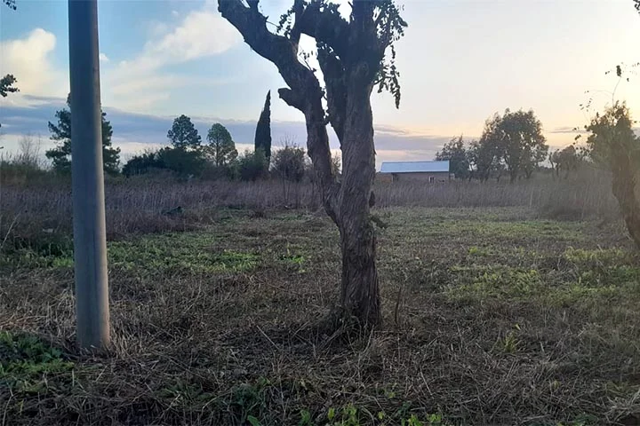 lote 482m2 perez
