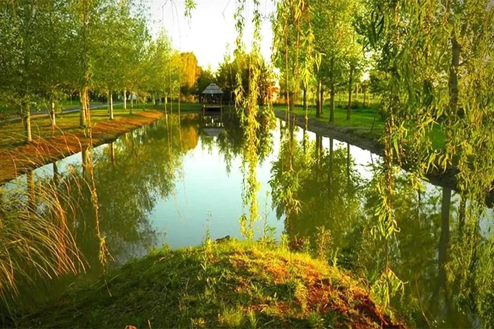 Lote en Venta en Pinares del Sur - Seguridad, Naturaleza y Confort a 15 Minutos de Rosario 4 pinares del sur barrio cerrado