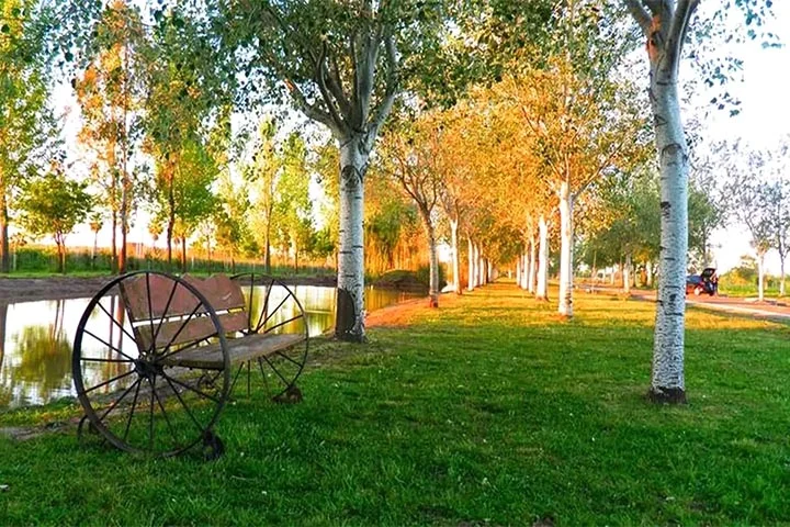 Lote en Venta en Pinares del Sur - Seguridad, Naturaleza y Confort a 15 Minutos de Rosario 3 pinares del sur barrio cerrado