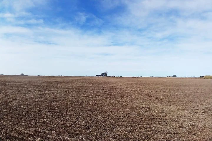 campo mugueta zona nucleo sur de santa fe