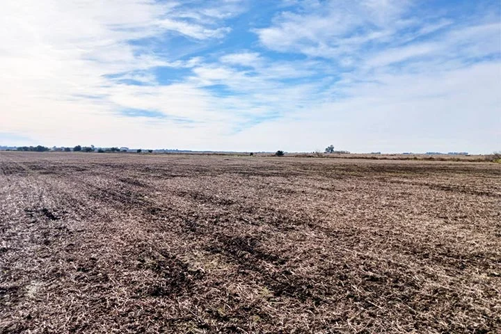 campo mugueta zona nucleo sur de santa fe