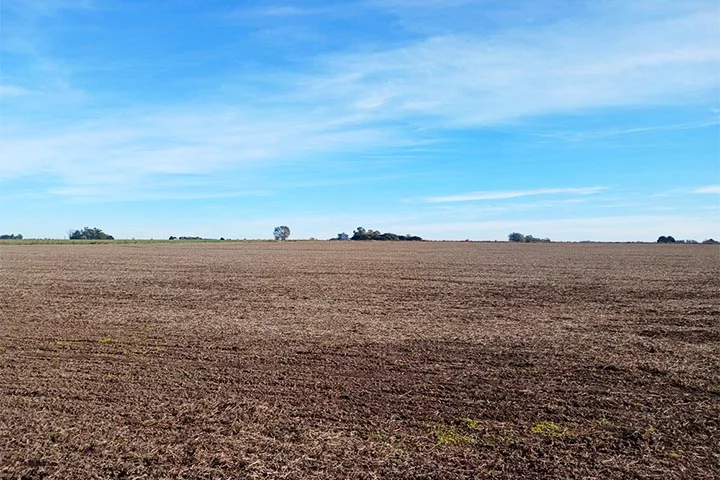 campo mugueta zona nucleo sur de santa fe