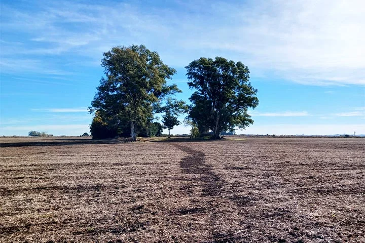 campo mugueta zona nucleo sur de santa fe