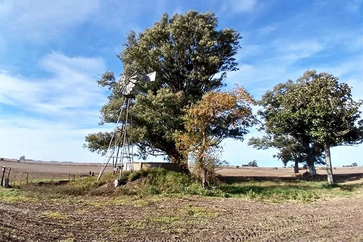 campo mugueta zona nucleo sur de santa fe