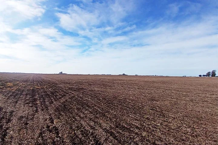 campo mugueta zona nucleo sur de santa fe